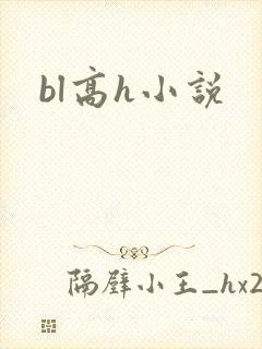 bl高h小说