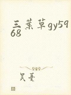 三叶草gy5968