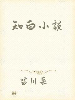 知白小说