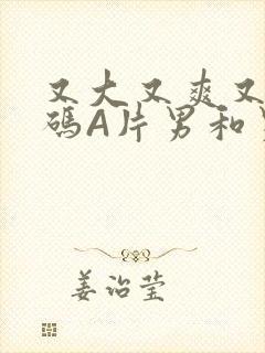 又大又爽又黄无码A片男和男