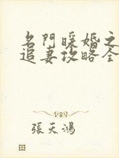 名门暖婚之权爷追妻攻略全文免费阅读