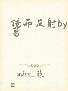 镜面反射by九葛