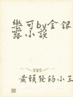 乐可by金银花露小说