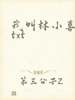 我叫林小喜小说txt