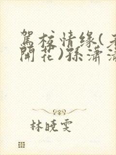 驾校情缘(老树开花)孙潇潇笔趣阁