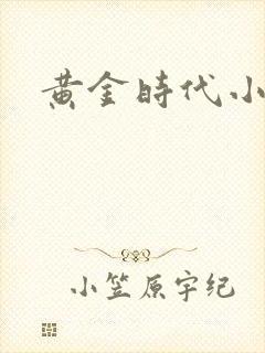 黄金时代小说