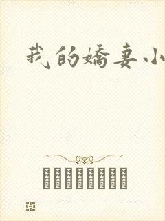我的娇妻小说