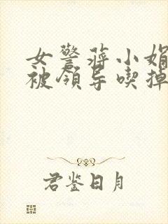 女警蒋小娟的奶被领导吃掉了