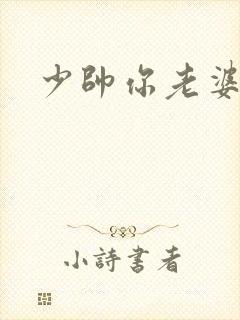 少帅你老婆