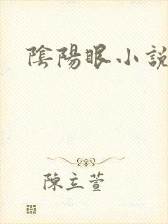 阴阳眼小说