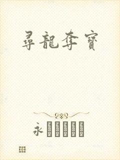寻龙夺宝