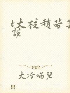 t大校赵若芸小说