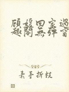 顾媛回家过年笔趣阁无弹窗