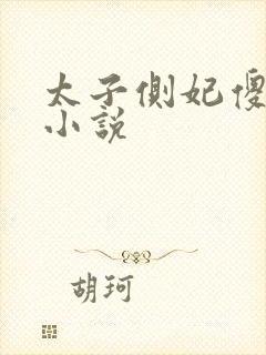 太子侧妃傻乎乎小说