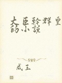 大臣干群皇太后的小说