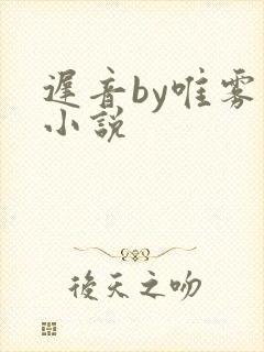 迟音by唯雾的小说