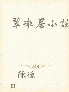 翠微居小说