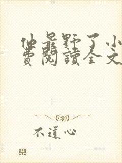 他最野了小说免费阅读全文