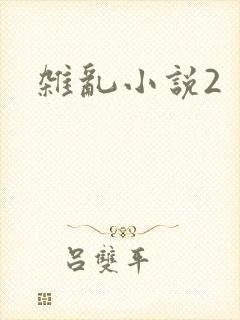 杂乱小说2