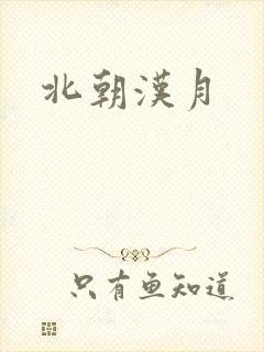 北朝汉月