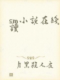 sm小说在线阅读