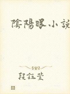 阴阳眼小说