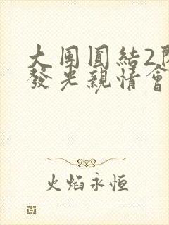 大团圆结2闪闪发光亲情会