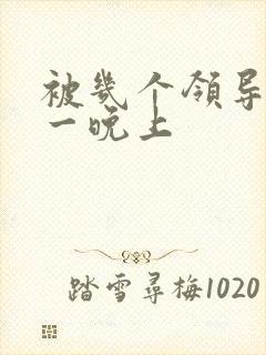 被几个领导玩弄一晚上