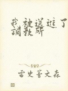 我被送进了私奴调教所