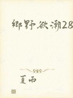乡野欲潮28章