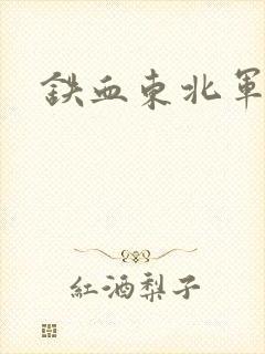 铁血东北军