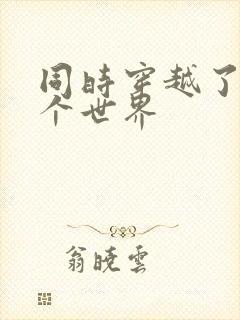 同时穿越了99个世界