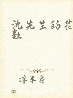 沈先生的花式调数