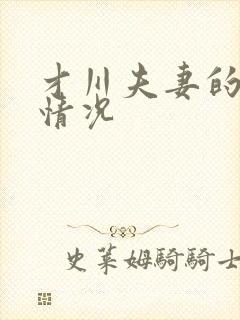 才川夫妻的恋爱情况