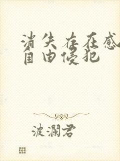 消失存在感消失自由侵犯