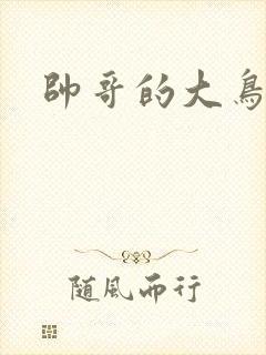 帅哥的大鸟
