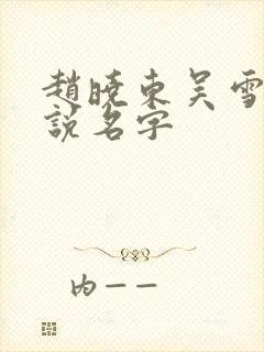 赵晓东吴雪晴小说名字