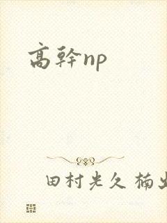 高干np