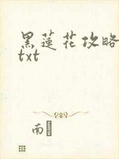 黑莲花攻略手册txt