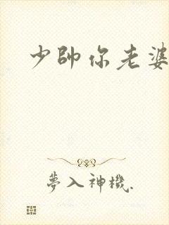 少帅你老婆