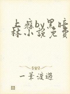 上瘾by黑暗森林小说免费