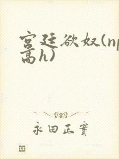 宫廷欲奴(np高h)