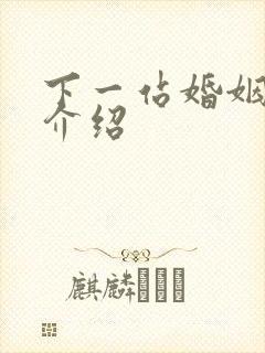 下一站婚姻剧情介绍