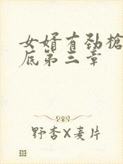 女婿有劲枪枪到底第三章