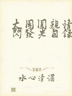 大团圆亲情会闪闪发光目录