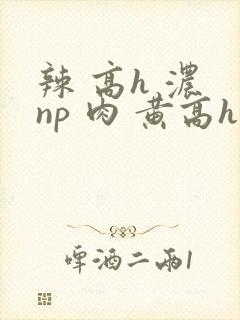 辣 高h 浓 np 肉 黄高h