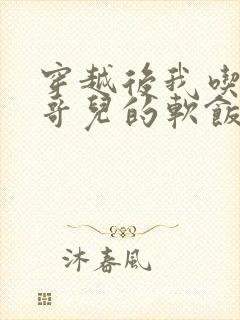 穿越后我吃到了哥儿的软饭炉山灰