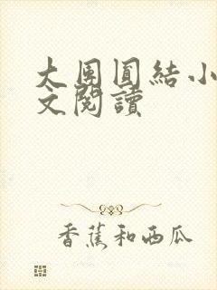 大团圆结小茹全文阅读