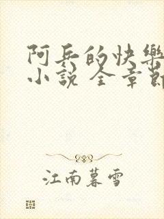 阿兵的快乐生活小说 全章节阅读免费