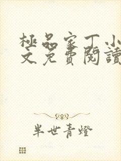 极品家丁小说全文免费阅读